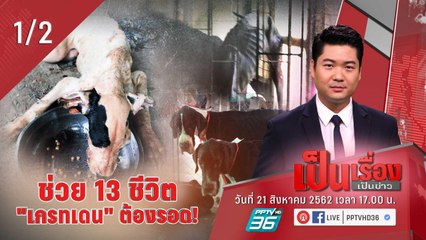 เป็นเรื่องเป็นข่าว | ช่วย 13 ชีวิต “เกรทเดน” ต้องรอด! (1/2)