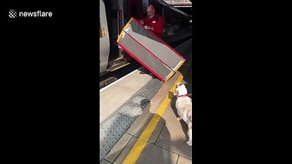 UK train conductor sets up ramp to help short-legged dog board train