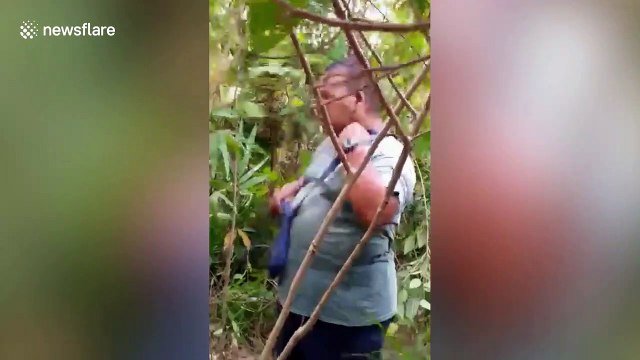 Five elephants rescued after getting trapped in disused Malaysian gold mine