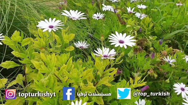 مسلسل أخبرهم ايها البحر الأسود الموسم الثالث انفصال الابطال الرئيسيين والسبب!!!!