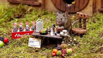 Mouse meal time - Yuck did you put cabbage in this food ?