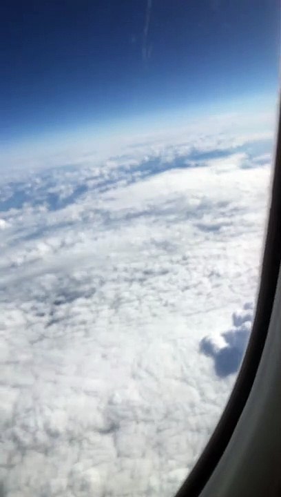 Avion