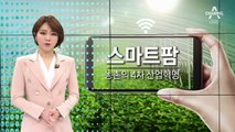 땅속 수분까지 측정…‘스마트팜’ 적용 후 완판 된 사과