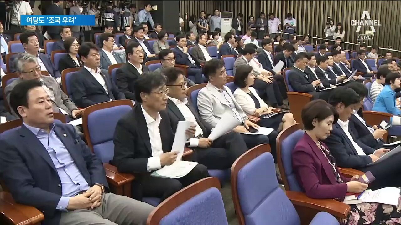 민주당서도 조국 우려 나와…“딸 해명 못하면 최악의 상황”