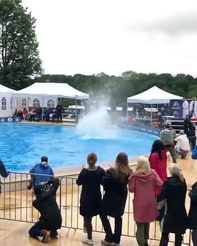 Championnat du monde de flop de ventre