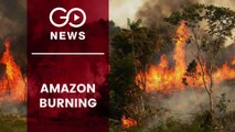 Amazon Rainforest Up In Flames