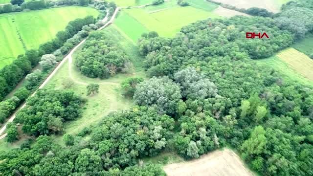 Edirne'de ağaçların kesildiği alana, foto kapan yerleştirilecek