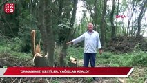 Edirne’de ağaç kesen canilere foto kapanlı önlem