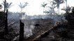 Les incendies de forêts au Brésil en hausse de 83% depuis début 2019