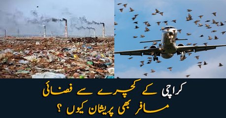 Watch: How pollution affects passengers at Karachi airport?