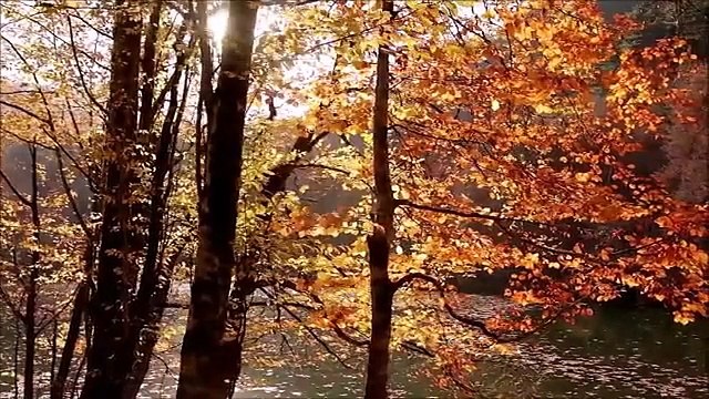 Resul Dindar - Karşıya Çifte Çamlar