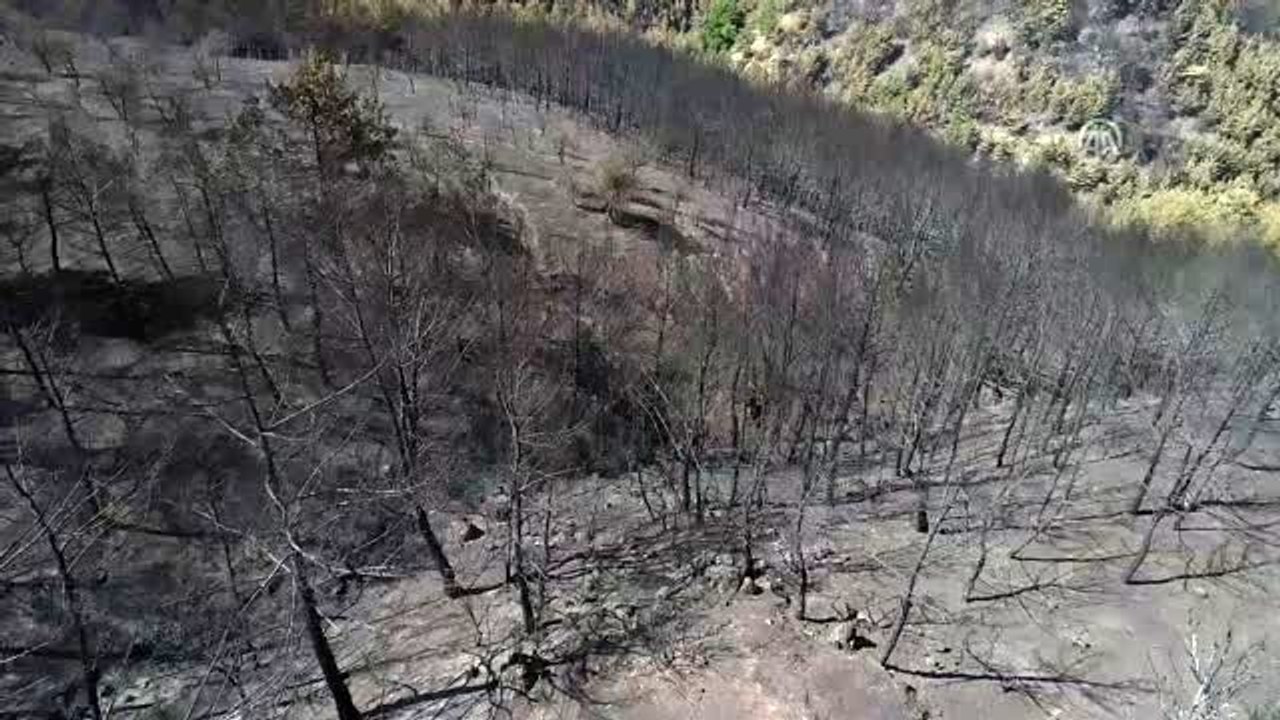 İzmir'deki orman yangınında soğutma çalışmaları sürüyor