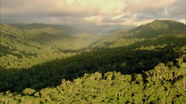 Terra Libre: 30 Ans de résistance des Peuples indigènes