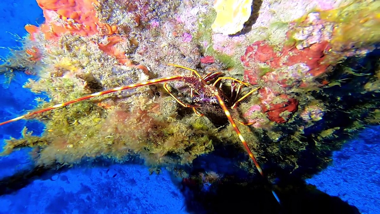 Espagne Boreas 08-19