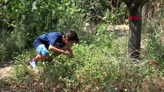 Balıkesir 12 yaşındaki Mehmet, hayvan sevgisiyle sosyal medya fenomeni oldu 1