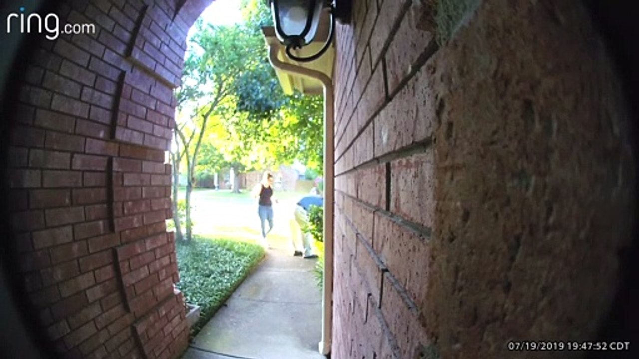 Falling Tree Miraculously Misses Man