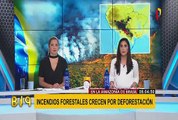 Incendios forestales llevan consumiendo la Amazonía de Brasil por más de 15 días