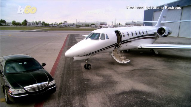Private Jet Company Offering Top of the Line Pampering for Pets