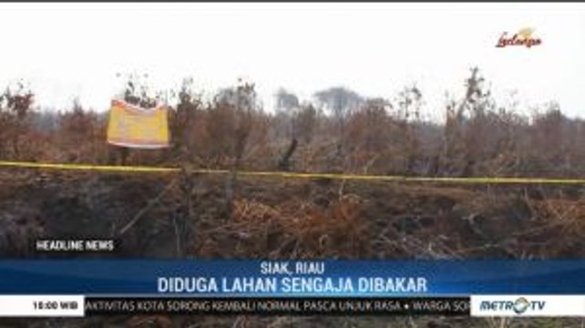 Lahan Gambut di Siak Diduga Sengaja Dibakar