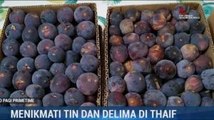 Menikmati Buah Tin dan Delima di Kota Thaif Saudi