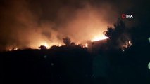 Samandağ'da orman yangını