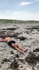 Bovines on the Beach