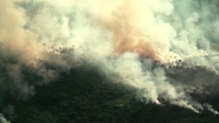 La Amazonía está en llamas y Bolsonaro insinúa que la culpa es de las ONG