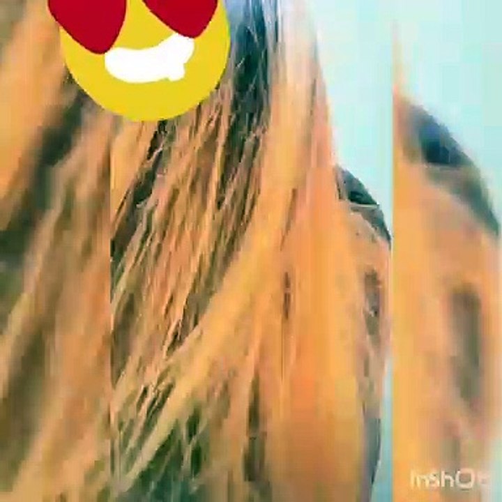 #Model | Phli Nazar Mai Esa JAdu Kar Diya