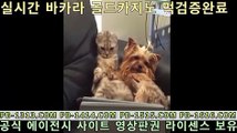 바카라 불패 신화**$$[[[┣pb-1414。CoM┫]]]**$$바카라 불패 신화