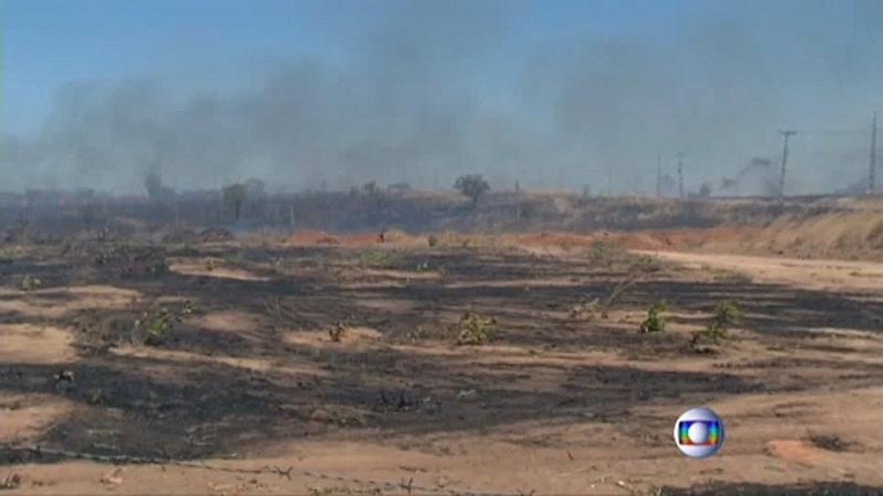 Brasiliens Bolsonaro: Umweltschützer legen Feuer im Amazonas