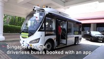 Singapore to trial driverless buses