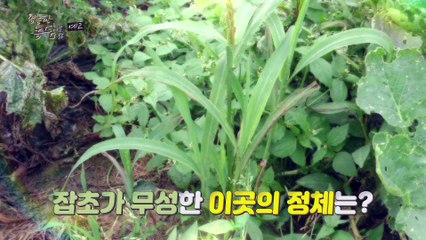 40여 년 잡초사랑! 친환경 농법에 인생을 담다_영농한 농담 15회 예고