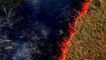 Amazon burning: Brazil reports record surge in forest fires
