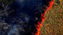 Amazon burning: Brazil reports record surge in forest fires