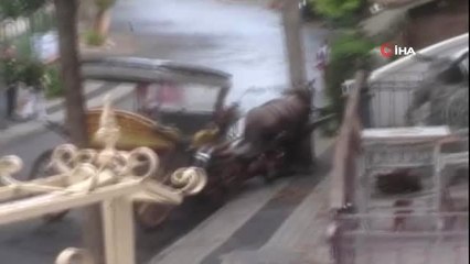 Büyükada'da faytona sürülen at bitkin düştü, faytoncu zorla yerden kaldırmaya çalıştı