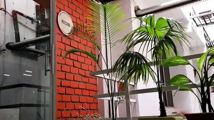 Best Digital Marketing Company in Bhopal - A Day at Rightful Labs