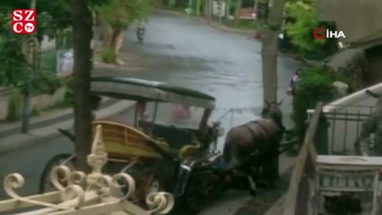 Büyükada’da faytona sürülen at bitkin düştü, faytoncu zorla yerden kaldırmaya çalıştı