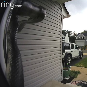 Doorbell Camera Captures Unwelcome Visitor