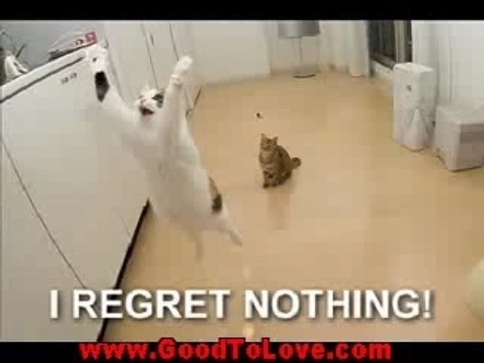 funny ads from GoodToLove