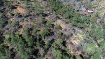 Orhaneli ve Çivili'deki orman yangınlarında sabotaj iddiası
