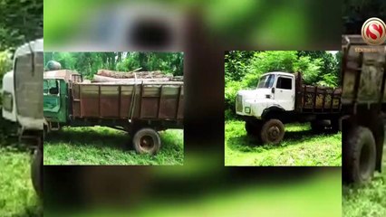 Illegal timber trade in West Karbi Anglong