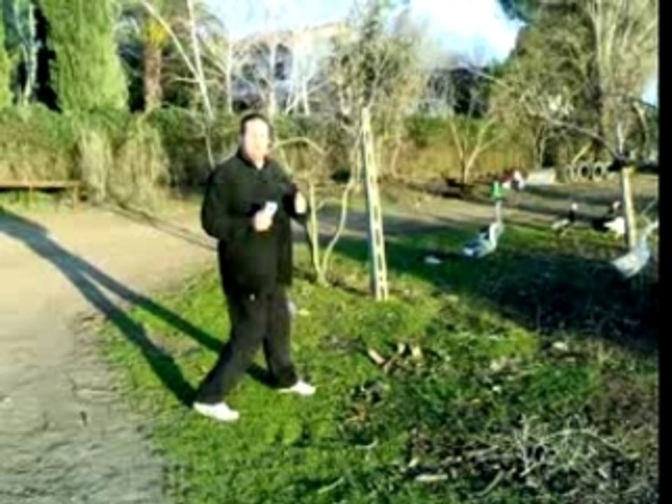 Er Cotica!, (Filmato 15!)