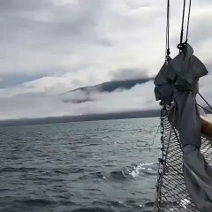 Admirez cette baleine à bosse plongeant dans la mer en Islande !