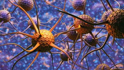 Les tumeurs possèdent des neurones