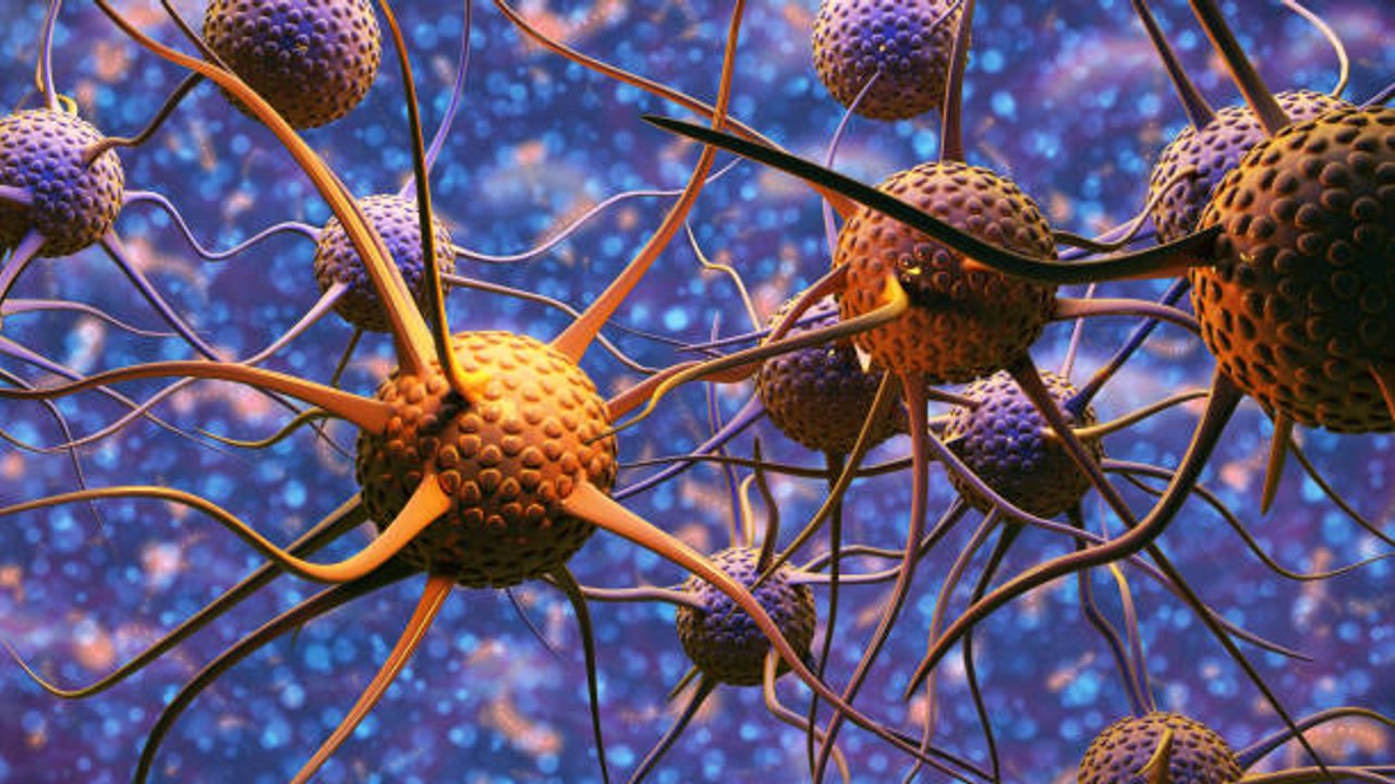 Les tumeurs possèdent des neurones