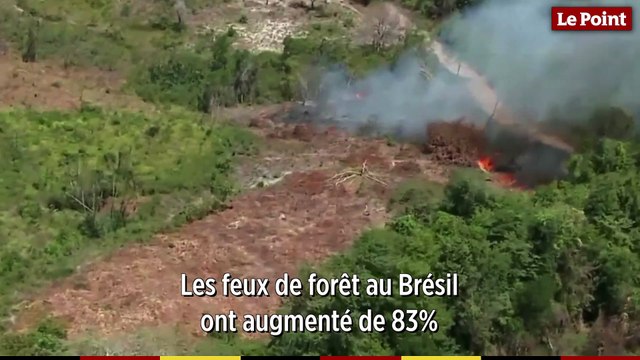 Incendies dans la forêt amazonienne : une ampleur inédite