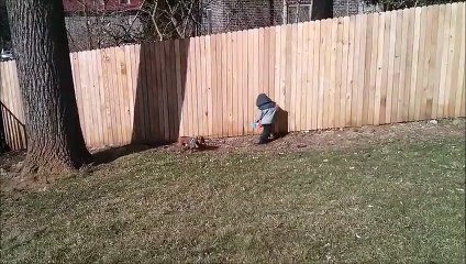 Pas si simple de balader son chien en laisse pour un enfant de 4 ans