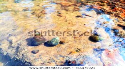 제주출장안마 -후불100%ョO7OV7301V9649｛카톡MOK66}-제주전지역출장안마 제주오피걸 제주출장마사지 제주출장안마 제주출장마사지 제주출장안마후기 제주출장아로마∼㌦㌮제주출장샵마사지