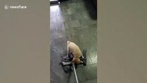 Puppy gets free ride by clinging onto wet mop as owner attempts to clean in Thailand