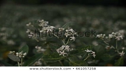 용인출장안마 -후불100%ョOiOE2997E5327｛카톡PR777｝ 용인전지역출장안마 용인오피걸 용인출장마사지 용인안마 용인출장마사지 용인콜걸샵⻔◈⻢